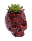 SKULL PLANTER STASH JAR