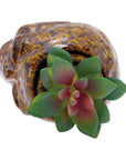 SKULL PLANTER STASH JAR