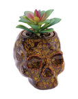 SKULL PLANTER STASH JAR