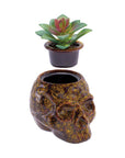 SKULL PLANTER STASH JAR