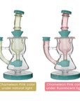 Calibear Curvy Torus Incycler Dab Rig | 8" Borosilicate Glass Rig with Torus Chamber