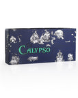 Calypso Pipe™ – 5-Piece Stainless Steel Filter Pipe