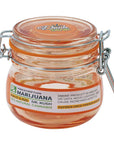 FUJIMA AIRTIGHT GLASS STASH JAR