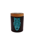 Owllusion Turquoise SoleStash