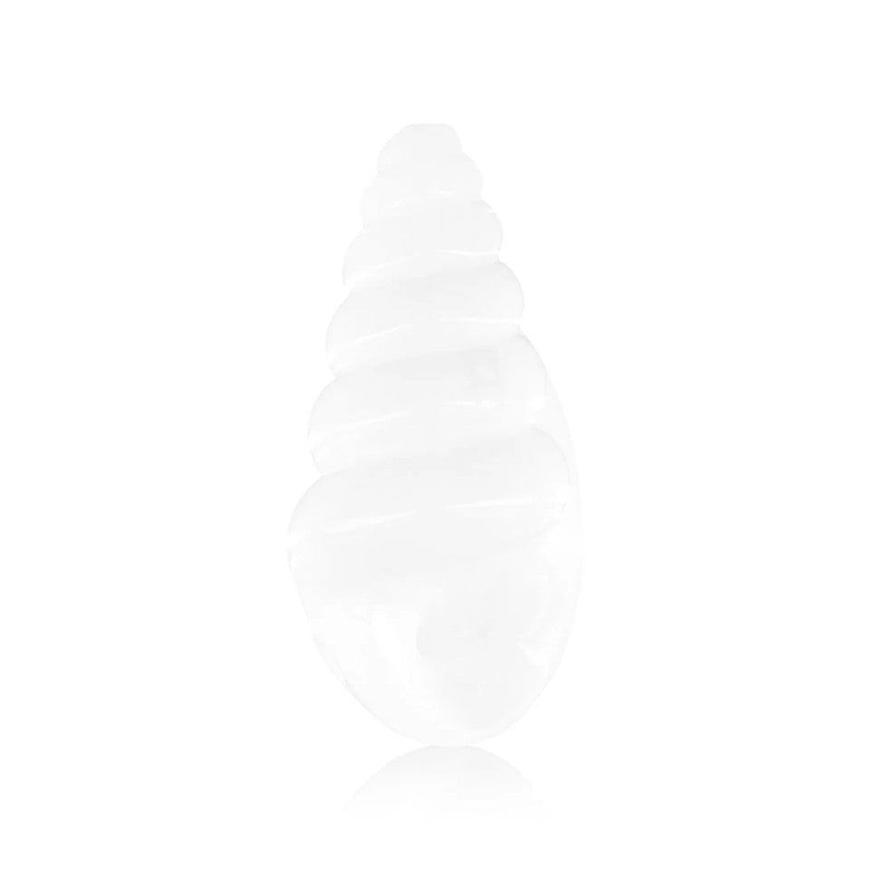Hemper SeaShell Glass Hand Pipe – 5″