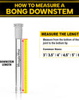 COLOR POP DOWNSTEM