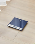Talking Bathroom Scale