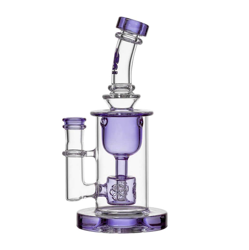 Calibear Colored Torus Dab Rig