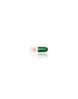Calibear Vibrant Cactus Bead Set