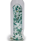 Plants in Capsule Glass Pipe