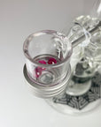 Ruby Terp Pearl 3-Pack