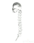 SMOKEA Colored Glass Skull Dab Tool