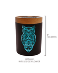 Owllusion Turquoise SoleStash