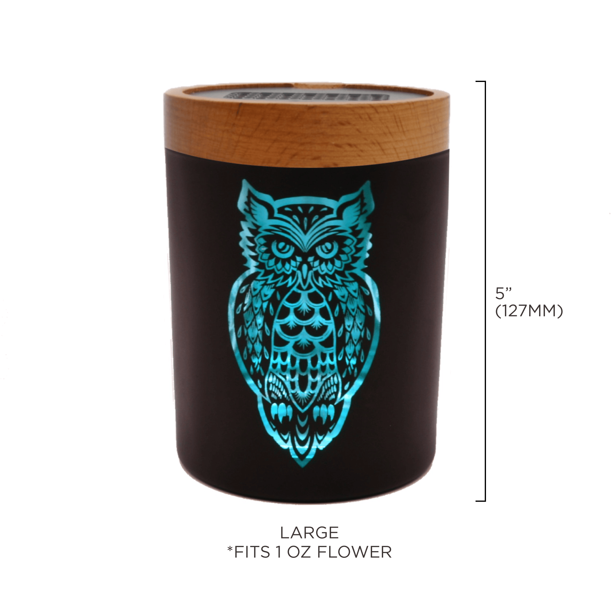Owllusion Turquoise SoleStash