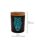 Owllusion Turquoise SoleStash