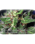 Blue Dream Metal Rollin' Tray